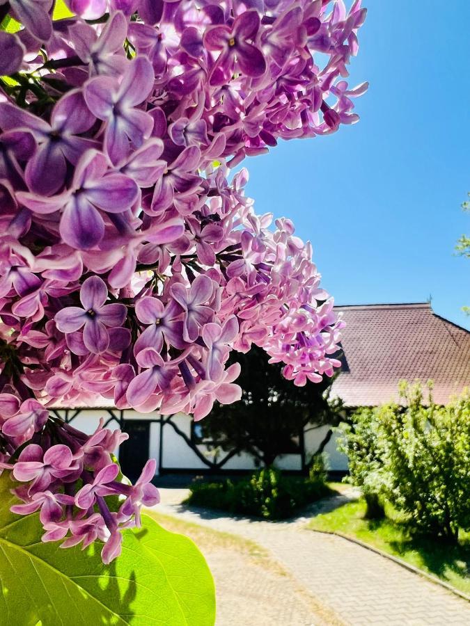 Ferienwohnung "Zur Rebe" Middelhagen Ngoại thất bức ảnh